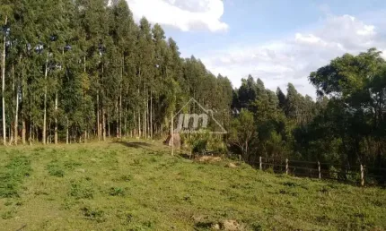 Chácara à venda em Sete Salto de Baixo - Três Córregos/PR
