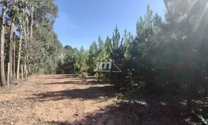 Chácara à venda no Bairro Guabiroba - Campo Largo/Pr