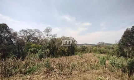 Lote para formação de Chácara à venda, em Balsa Nova/PR.