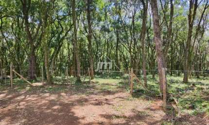 Chácara a venda no Bairro Colônia Balbino Cunha - em Campo Largo/PR