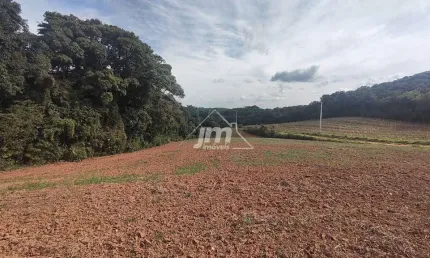 Chácara a venda no Bairro Colônia Cristina - em Araucária/PR