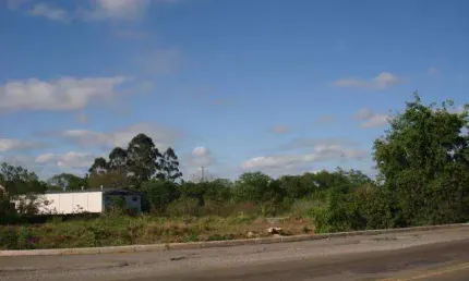 Terreno comercial para alugar na Rodovia BR-287, S/N, Parque Pinheiro Machado, Santa Maria