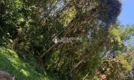 Terreno à venda na Estrdada Geral do Ouvidor, 234, Campo Duna, Garopaba, 500 m2 por R$ 695.000