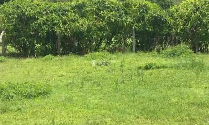 Terreno à venda na Santa Catarina, 126, 655, Centro, Paulo Lopes, 571 m2 por R$ 185.000