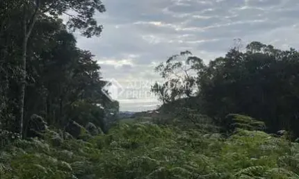 Terreno à venda na Pedro Manoel De Lima, 444, Macacu, Garopaba, 20000 m2 por R$ 1.200.000