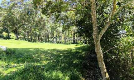 Terreno comercial à venda na Leonildo Peirão, 3, Grama, Garopaba, 2239 m2 por R$ 1.650.000