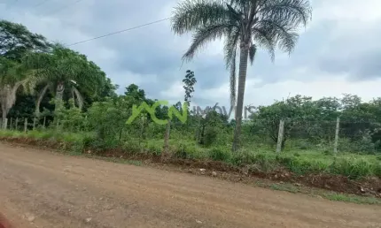 Área com 2,2 hectares, na divisa de portão e estância velha, macaco branco