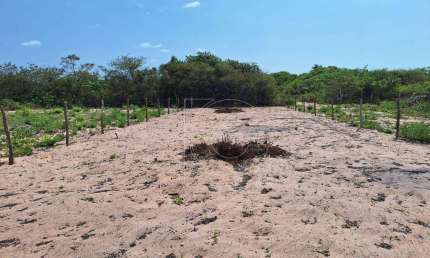Terreno comercial à venda na Rua Coqueiros, 225, Zona Rural, Jijoca de Jericoacoara