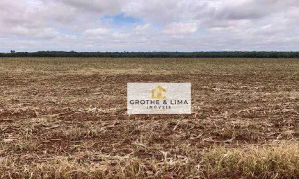 Fazenda com de 5.050 hectares à venda, 50500000 m² por R$ 10 - Centro - Porto dos Gaúchos/MT
