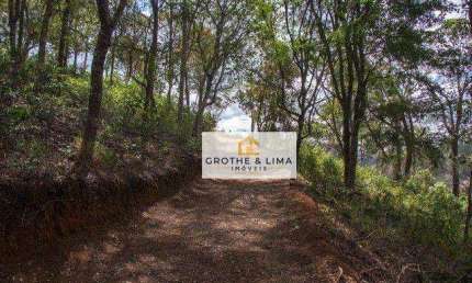 Terreno à venda, 6000 m² por R$ 260.000,00 - Costinha - São José dos Campos/SP