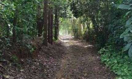 Chácara à venda, 20000 m² por R$ 1.200.000,00 - Sete Voltas - Taubaté/SP