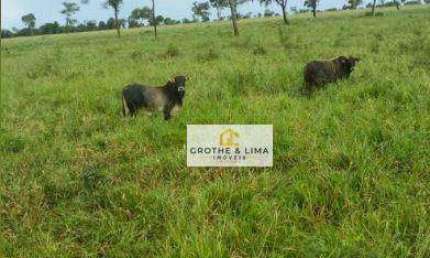Fazenda com 1.005 hectares à venda na região do município de Campo Grande/MS.