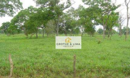 Excelente fazenda de cria no Pantanal à venda em Corumba-MS.