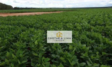 Excelente fazenda com dupla aptidão à venda em Alto do Araguaia-MT.