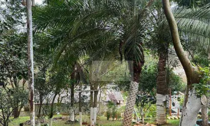 Chácara com 4 dormitórios à venda, 2100 m² por R$ 450.000,00 - Paraibuna - Paraibuna/SP