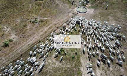 Fazenda em Cocalinho, Mato Grosso - Oportunidade Única para Investimento Pecuário