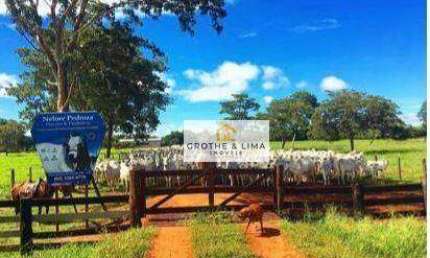 **Fazenda à Venda em Cocalinho, MT - Oportunidade de Pecuária de Alto Nível**