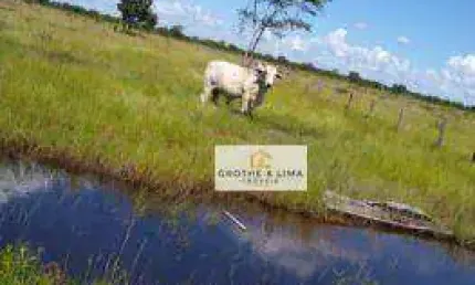 **Fazenda Espetacular de 2.637,80 Hectares em Cocalinho, MT - Uma Oportunidade Única no Campo**