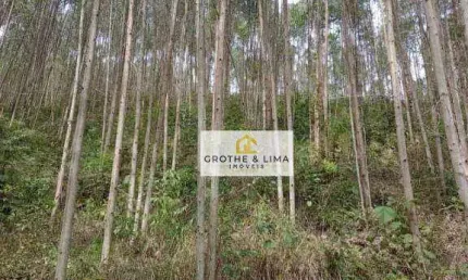 Área à venda, 108900 m² por R$ 440.000 - Cedro - Paraibuna/SP