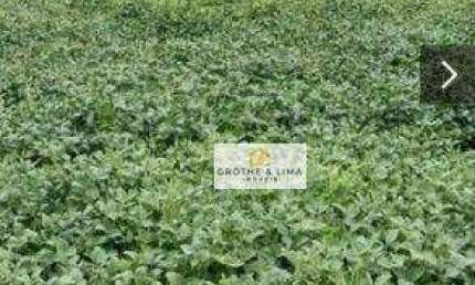 Fazenda com 711 alqueires à venda no município de Tomazinha/PR.