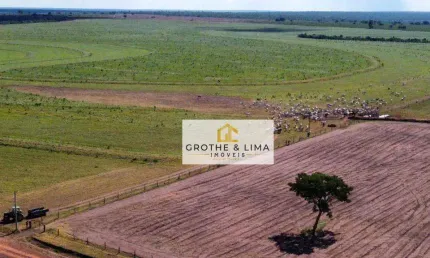 Vendo Fazenda à venda na região do município de Nova Mutum/MT