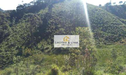 Terreno à venda, 20000 m² por R$ 440.000,00 - Zona Rural - Santo Antônio do Pinhal/SP