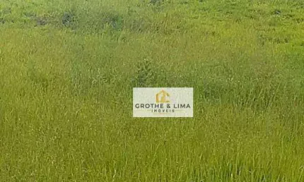 Área, 9800 m² - venda por R$ 9.800.000,00 ou aluguel por R$ 35.000,00/mês - Putim - São José dos Campos/SP