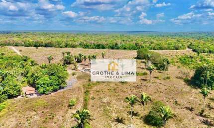Vendo fazenda 530 alqueires 100% documentada dupla aptidão com excelente preço, grande potencial para lavoura e pecuária a 30 km de Araguaína Tocantin