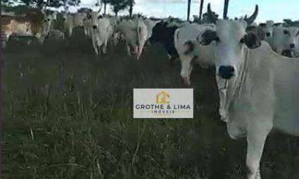 Fazenda à venda, 5130400 m² por R$ 10.600.000 - Dirceu Arcoverde - Parnaíba/PI