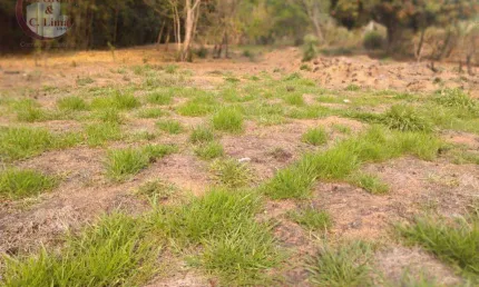 Terreno à venda, 2200 m² por r$ 251.500,00 - espírito santo - paraibuna/sp