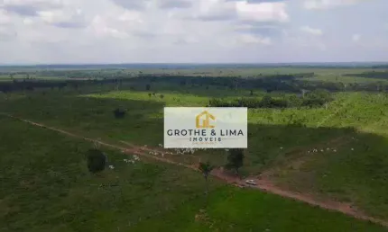 Vendo Fazenda à venda no Tocantins na região de Araguaina