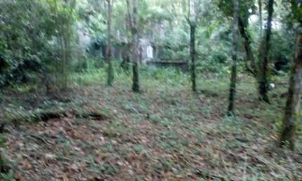 Terreno à venda em Ubatumirim, Ubatuba 