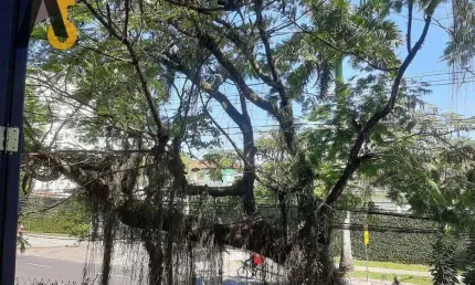 Casa com 5 quartos à venda na Estrada do Guanumbi, Freguesia (Jacarepaguá), Rio de Janeiro