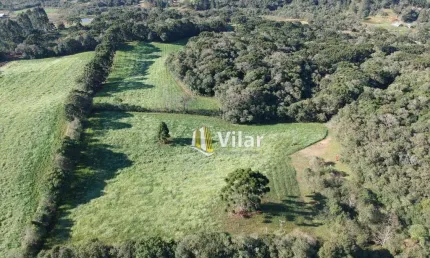 Área à venda, 55904 m² por R$ 650.000,00 - Planta Laranjeiras - Piraquara/PR