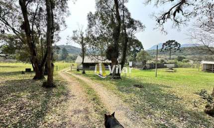 Chácara com 2 dormitórios à venda, 10000 m² por R$ 870.000 - Planta Deodoro - Piraquara/PR