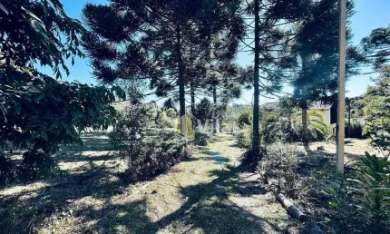 Chácara com 3 dormitórios à venda, 22450 m² por r$ 1.250.000 - planta meireles - piraquara/pr