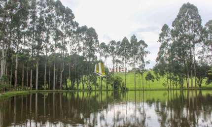 OPORTUNIDADE- Excelente área com 39.051 M2 na melhor localização de Piraquara, Por R$5.600.000.