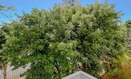 Apartamento com 3 quartos à venda na Rua Marechal Mesquita, Teresópolis, Porto Alegre