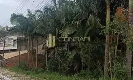 Terreno à venda no Alto São Bento, Itapema 