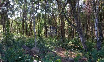 Terreno à venda na Avenida Do Sol, 117, Porta do Sol, Mairinque por R$ 295.000