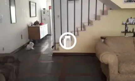 Casa para Venda - 170m², 3 dormitórios, 2 vagas - Chácara Santo Antônio (Zona Sul)