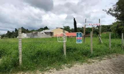 Terreno comercial para alugar na Rua Miguel Bertolino Pizatto, 2765, Centro, Araucária