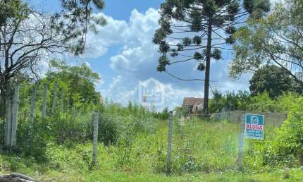Terreno comercial para alugar na Rua Francisco Xavier da Silva, 415, Centro, Araucária