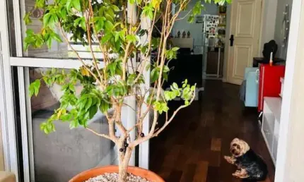 Apartamento com 3 quartos à venda na rua domingos de morais, 1018, vila mariana, são paulo, 90 m2 por r$ 1.381.000