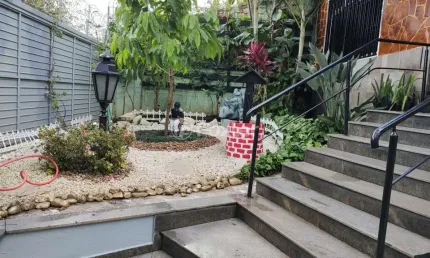 Casa com 5 quartos à venda na avenida piassanguaba, 2688, planalto paulista, são paulo, 300 m2 por r$ 3.000.000
