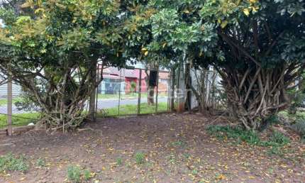 Fazenda à venda na Avenida Cézar Cambruzzi, 415, Nossa Chácara, Gravataí, 3146 m2 por R$ 550.000
