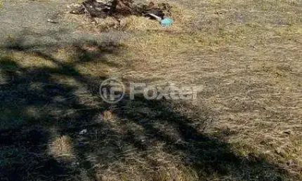 Terreno à venda na Rua Doutor Campos Velho, 1113, Cristal, Porto Alegre, 360 m2 por R$ 450.000