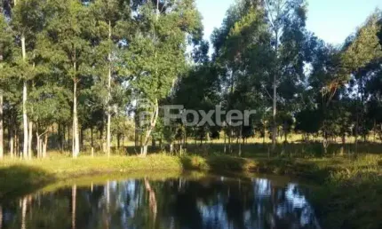 Terreno comercial à venda na Estrada do Quilombo, 1641, Feitoria, São Leopoldo, 60000 m2 por R$ 2.660.000