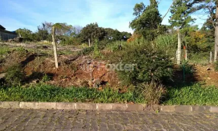 Terreno à venda na Avenida Cônego Peres, LOTE 01, São Cristovão, Nova Prata, 800 m2 por R$ 420.000