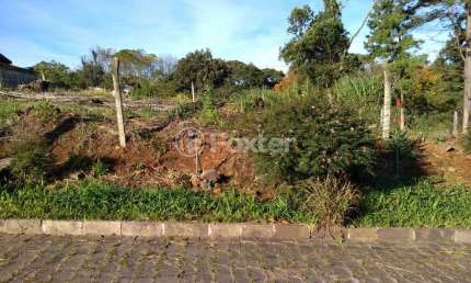 Terreno comercial à venda na Avenida Cônego Peres, LOTE 01, São Cristovão, Nova Prata, 800 m2 por R$ 420.000